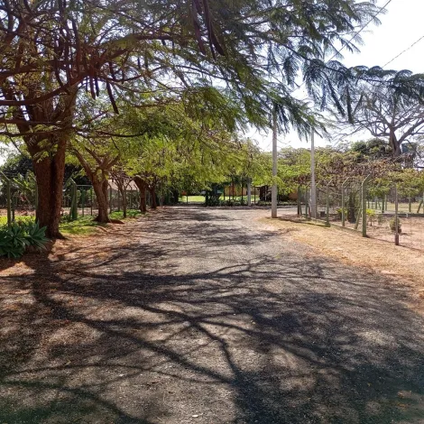 imagem 5 - Rural - Chácara imagem 5 - Rural - Chácara