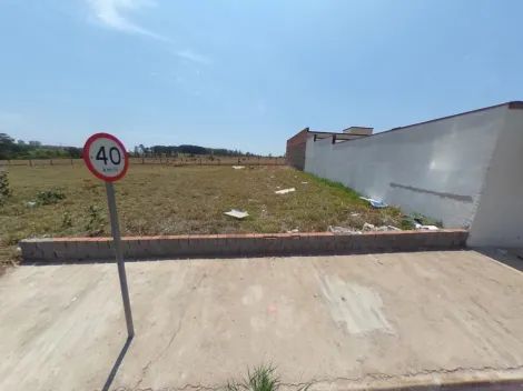 imagem 3 - Terreno Muito bem localizado com fácil acesso as marginais e perto da Rodovia. imagem 3 - Terreno Muito bem localizado com fácil acesso as marginais e perto da Rodovia.