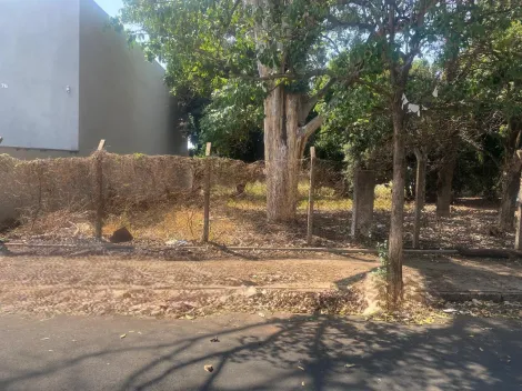 imagem 3 - Terreno - Padrão imagem 3 - Terreno - Padrão