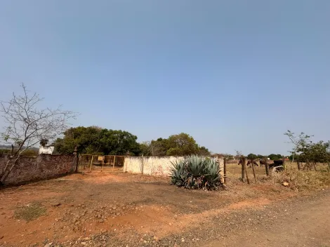 imagem 2 - venda SITIO SANTA LIURIA  e  SITIO SÃO FRANCISCO imagem 2 - venda SITIO SANTA LIURIA  e  SITIO SÃO FRANCISCO