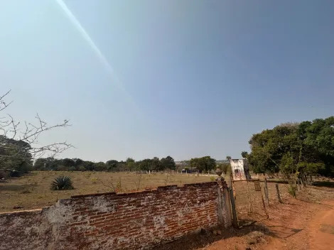 imagem 3 - venda SITIO SANTA LIURIA  e  SITIO SÃO FRANCISCO imagem 3 - venda SITIO SANTA LIURIA  e  SITIO SÃO FRANCISCO