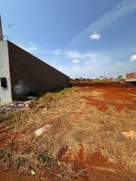 imagem 1 - Terreno Muito Bem Localizado, Pronto para Ser Construído o seu Imóvel. imagem 1 - Terreno Muito Bem Localizado, Pronto para Ser Construído o seu Imóvel.