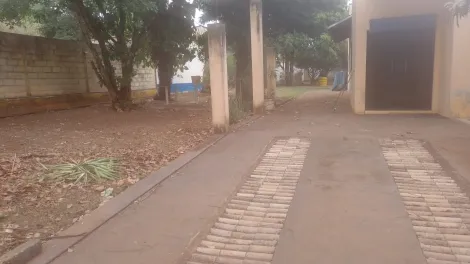 imagem 3 - Chácara com ótima localização próximo a cidade imagem 3 - Chácara com ótima localização próximo a cidade
