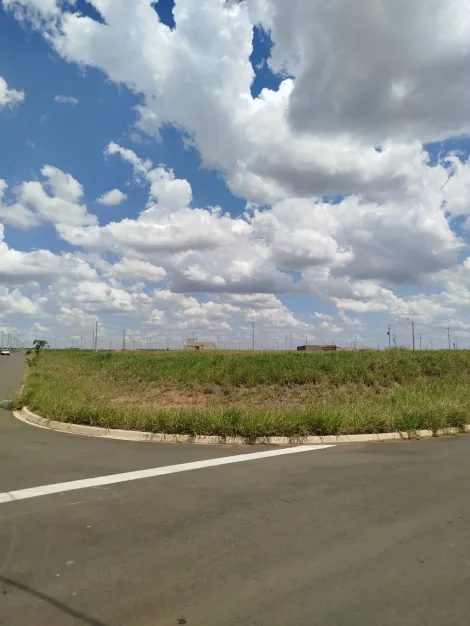 imagem 1 - Terreno - Padrão imagem 1 - Terreno - Padrão