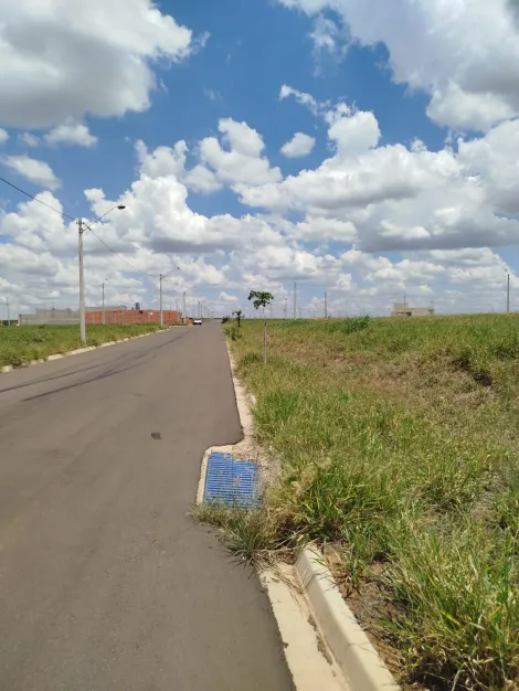 imagem 3 - Terreno - Padrão imagem 3 - Terreno - Padrão