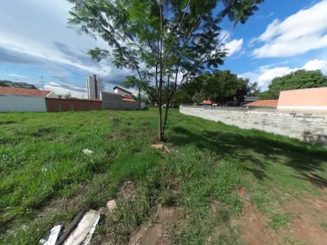 imagem 2 - Imóvel bem localizado em uma Rua seguro sem saída. imagem 2 - Imóvel bem localizado em uma Rua seguro sem saída.