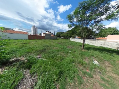 imagem 3 - Imóvel bem localizado em uma Rua seguro sem saída. imagem 3 - Imóvel bem localizado em uma Rua seguro sem saída.