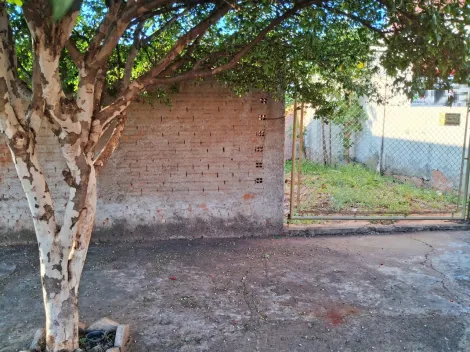 imagem 3 - Excelente oportunidade próximo a comércio imagem 3 - Excelente oportunidade próximo a comércio