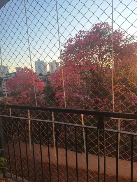 imagem 5 - Apartamento - Padrão imagem 5 - Apartamento - Padrão