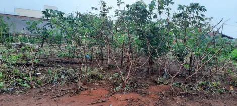 imagem 1 - Lote no Arcoville/São Carlos -  excelente opção imagem 1 - Lote no Arcoville/São Carlos -  excelente opção