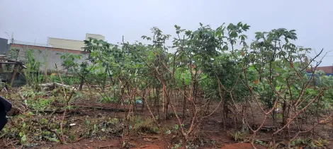 imagem 2 - Lote no Arcoville/São Carlos -  excelente opção imagem 2 - Lote no Arcoville/São Carlos -  excelente opção