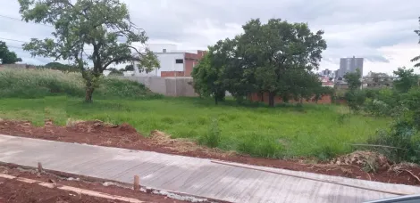 imagem 3 - Excelente oportunidade de adquirir um terreno com ótima localização. imagem 3 - Excelente oportunidade de adquirir um terreno com ótima localização.