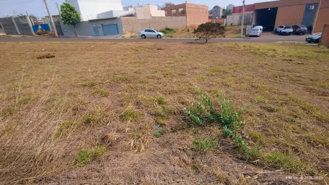 imagem 4 - Terreno pronto para construir com localização privilegiada imagem 4 - Terreno pronto para construir com localização privilegiada