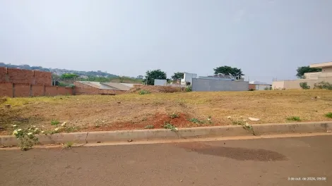 imagem 5 - Terreno pronto para construir com localização privilegiada imagem 5 - Terreno pronto para construir com localização privilegiada