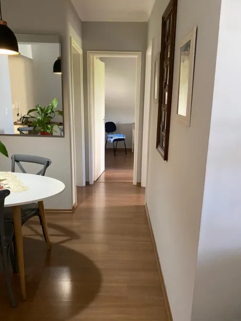 imagem 2 - Venda de Apartamento no Bairro Cambuí com 2 dormitórios em Campinas/SP imagem 2 - Venda de Apartamento no Bairro Cambuí com 2 dormitórios em Campinas/SP