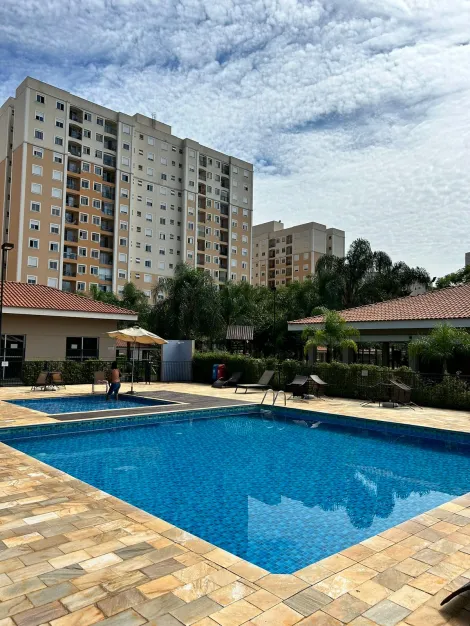 imagem 2 - Lindo à venda apartamento de 60m2, 3 quartos sendo 1 suíte. 1 banheiro social e Varanda. imagem 2 - Lindo à venda apartamento de 60m2, 3 quartos sendo 1 suíte. 1 banheiro social e Varanda.