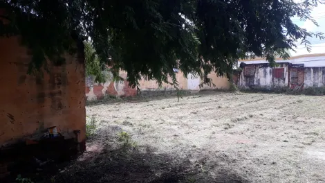 imagem 5 - Ponto comercial com ótima localização, no centro de Rincao imagem 5 - Ponto comercial com ótima localização, no centro de Rincao