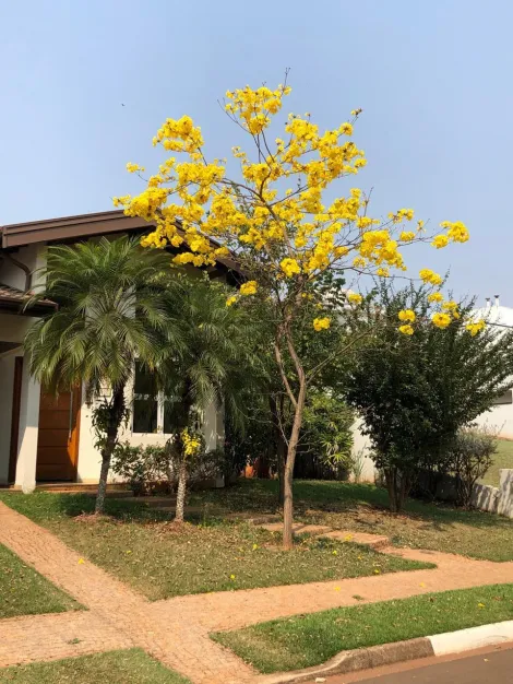 imagem 2 - Casa - Condomínio imagem 2 - Casa - Condomínio