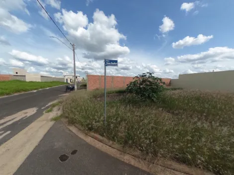 imagem 5 - Imóvel bem localizado e fácil acesso a Rua Principal. imagem 5 - Imóvel bem localizado e fácil acesso a Rua Principal.