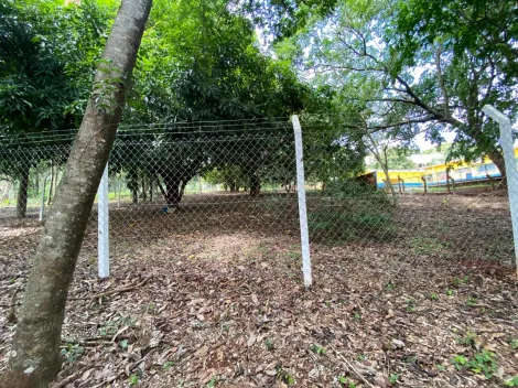 imagem 2 - Terreno - Padrão imagem 2 - Terreno - Padrão