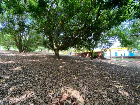 imagem 5 - Terreno - Padrão imagem 5 - Terreno - Padrão
