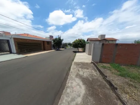 imagem 3 - lote imagem 3 - lote