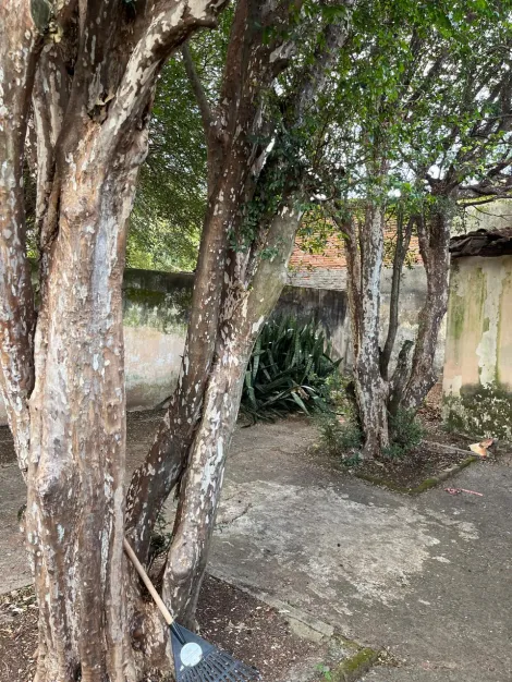 imagem 1 - TERRENO À VENDA imagem 1 - TERRENO À VENDA