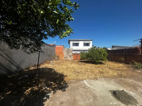imagem 5 - Casa - Padrão imagem 5 - Casa - Padrão