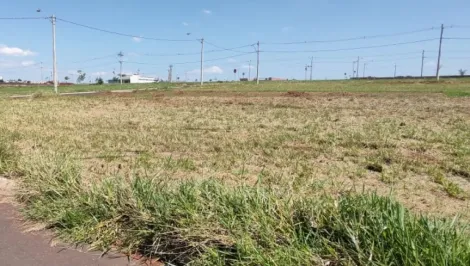 imagem 3 - Terreno - Padrão imagem 3 - Terreno - Padrão