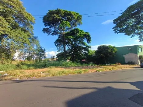 imagem 4 - Terreno - Padrão imagem 4 - Terreno - Padrão
