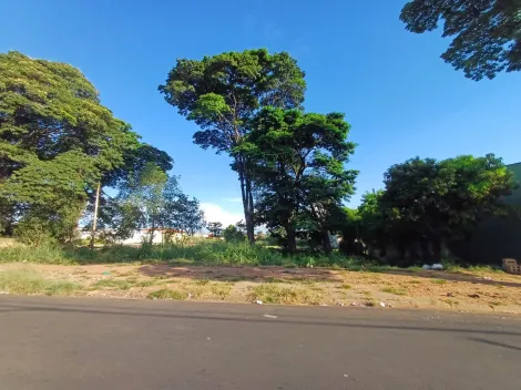 imagem 5 - Terreno - Padrão imagem 5 - Terreno - Padrão