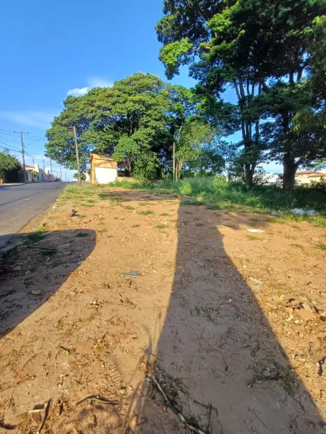 imagem 3 - Terreno - Padrão imagem 3 - Terreno - Padrão