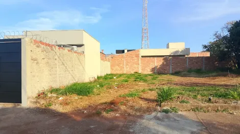 imagem 1 - Terreno - Padrão imagem 1 - Terreno - Padrão