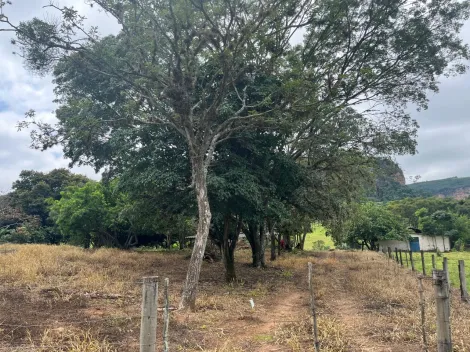 imagem 4 - Fazenda em Analandia 11KM do Posto Grall Rubi imagem 4 - Fazenda em Analandia 11KM do Posto Grall Rubi