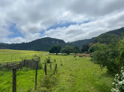 imagem 3 - Fazenda em Analandia 11KM do Posto Grall Rubi imagem 3 - Fazenda em Analandia 11KM do Posto Grall Rubi