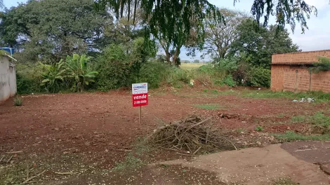 imagem 1 - Terreno com boa localização, próximo a escola, comércio, creche e supermercados imagem 1 - Terreno com boa localização, próximo a escola, comércio, creche e supermercados