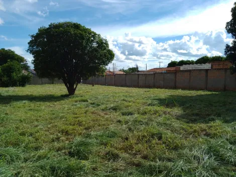 imagem 4 - Ótimo terreno murado e portão com mais de 1000 m² na Vila Xavier. imagem 4 - Ótimo terreno murado e portão com mais de 1000 m² na Vila Xavier.