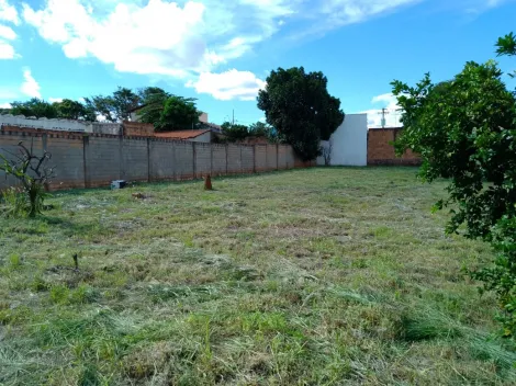 imagem 5 - Ótimo terreno murado e portão com mais de 1000 m² na Vila Xavier. imagem 5 - Ótimo terreno murado e portão com mais de 1000 m² na Vila Xavier.