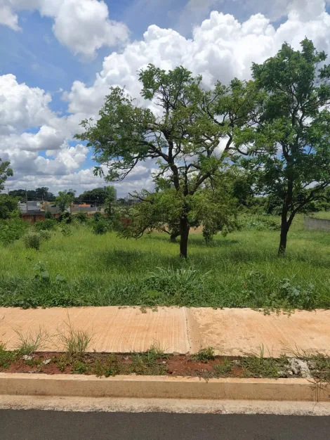 imagem 2 - Ótimo terreno com mais de 900 m² no Cidade Jardim. imagem 2 - Ótimo terreno com mais de 900 m² no Cidade Jardim.