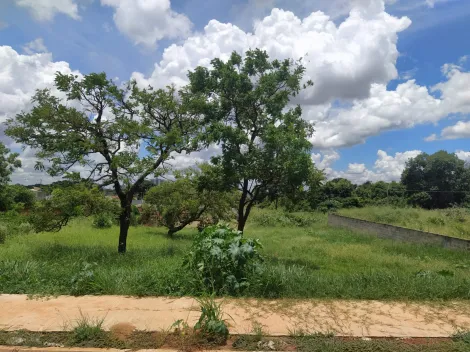 imagem 3 - Ótimo terreno com mais de 900 m² no Cidade Jardim. imagem 3 - Ótimo terreno com mais de 900 m² no Cidade Jardim.