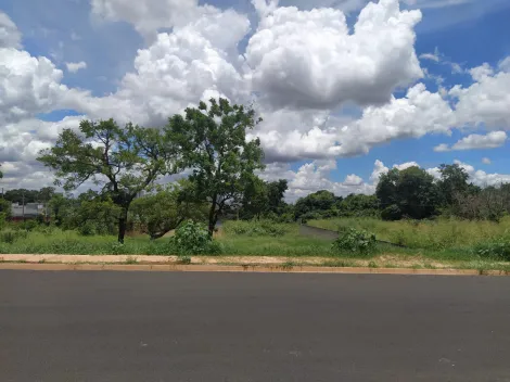 imagem 5 - Ótimo terreno com mais de 900 m² no Cidade Jardim. imagem 5 - Ótimo terreno com mais de 900 m² no Cidade Jardim.