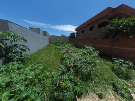 imagem 4 - Imóvel Muito Bem Localizado com uma Maravilhosa topografia. imagem 4 - Imóvel Muito Bem Localizado com uma Maravilhosa topografia.