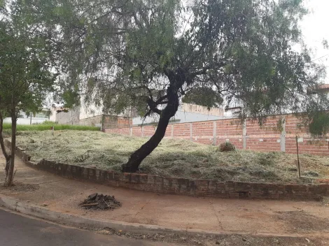 imagem 4 - Terreno - Padrão imagem 4 - Terreno - Padrão