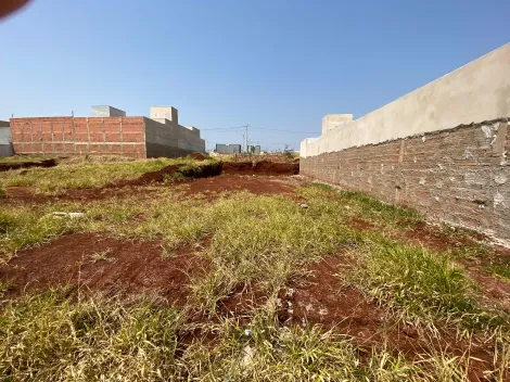 imagem 1 - Terreno - Padrão imagem 1 - Terreno - Padrão