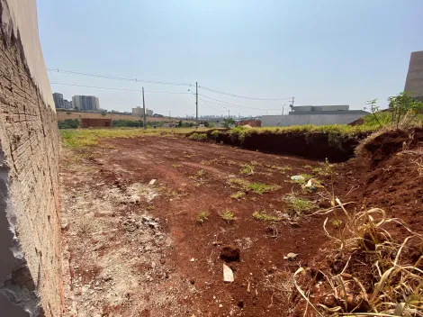 imagem 2 - Terreno - Padrão imagem 2 - Terreno - Padrão