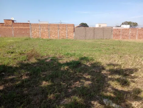 imagem 4 - lote em Porto Ferreira - SP imagem 4 - lote em Porto Ferreira - SP