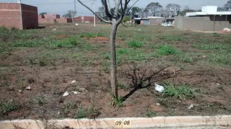 imagem 2 - lote em Porto Ferreira - SP imagem 2 - lote em Porto Ferreira - SP