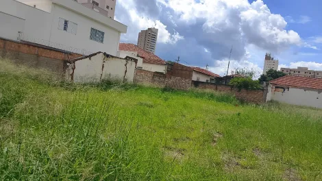 imagem 5 - Excelente terreno com excelente localização próximo a supermercados e comércio imagem 5 - Excelente terreno com excelente localização próximo a supermercados e comércio