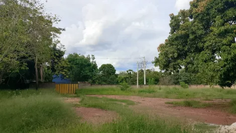 imagem 4 - OPORTUNIADE! imagem 4 - OPORTUNIADE!