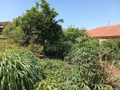 imagem 3 - Terreno Murado de 420m² no Jardim Mariana, Ibaté ? Ideal para Investimento imagem 3 - Terreno Murado de 420m² no Jardim Mariana, Ibaté ? Ideal para Investimento